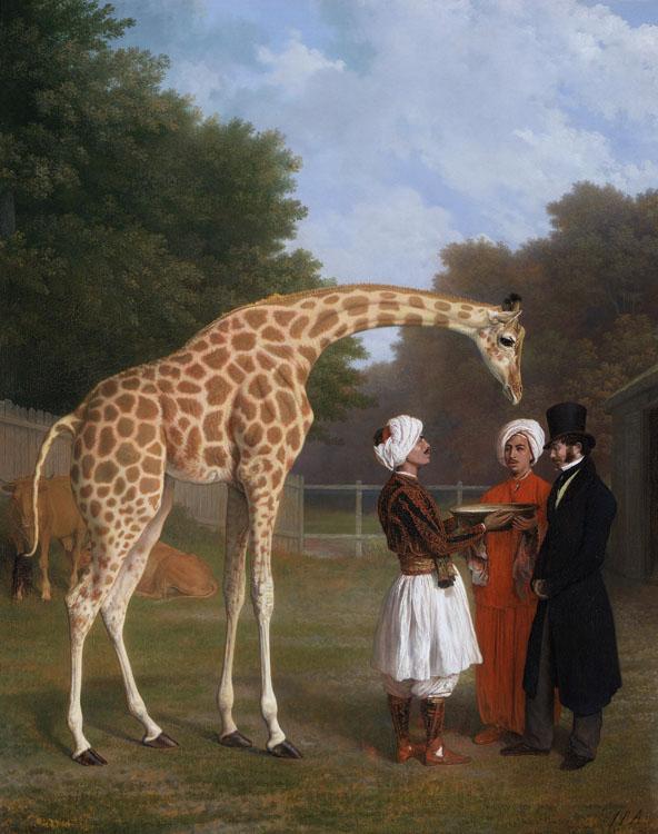 Jacques-Laurent Agasse The Nuian Giraffe (mk25) Norge oil painting art